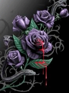 Bleeding rose